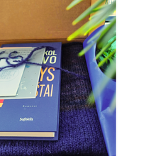 Įkelti vaizdą į galerijos rodinį, Violetinis purusis